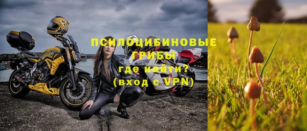 стафф Краснослободск