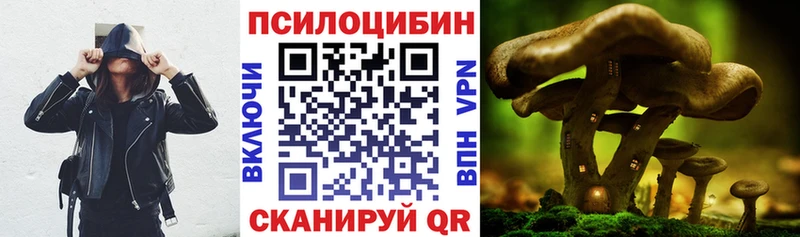 Псилоцибиновые грибы мухоморы Купить Благодарный